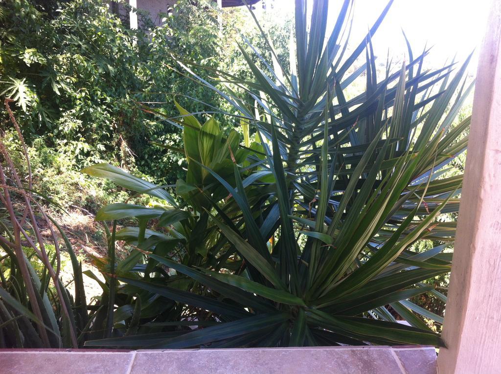Sunset Gardens Guesthouse Contant  Εξωτερικό φωτογραφία